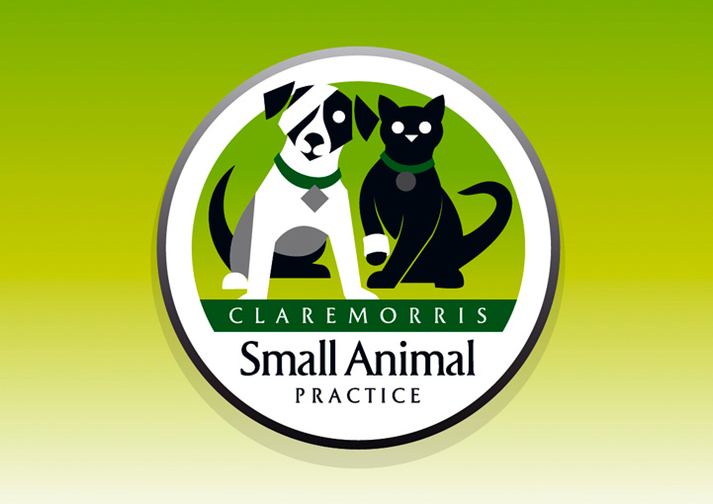 Claremorris Small Animal Practice Portfolio Detail 1