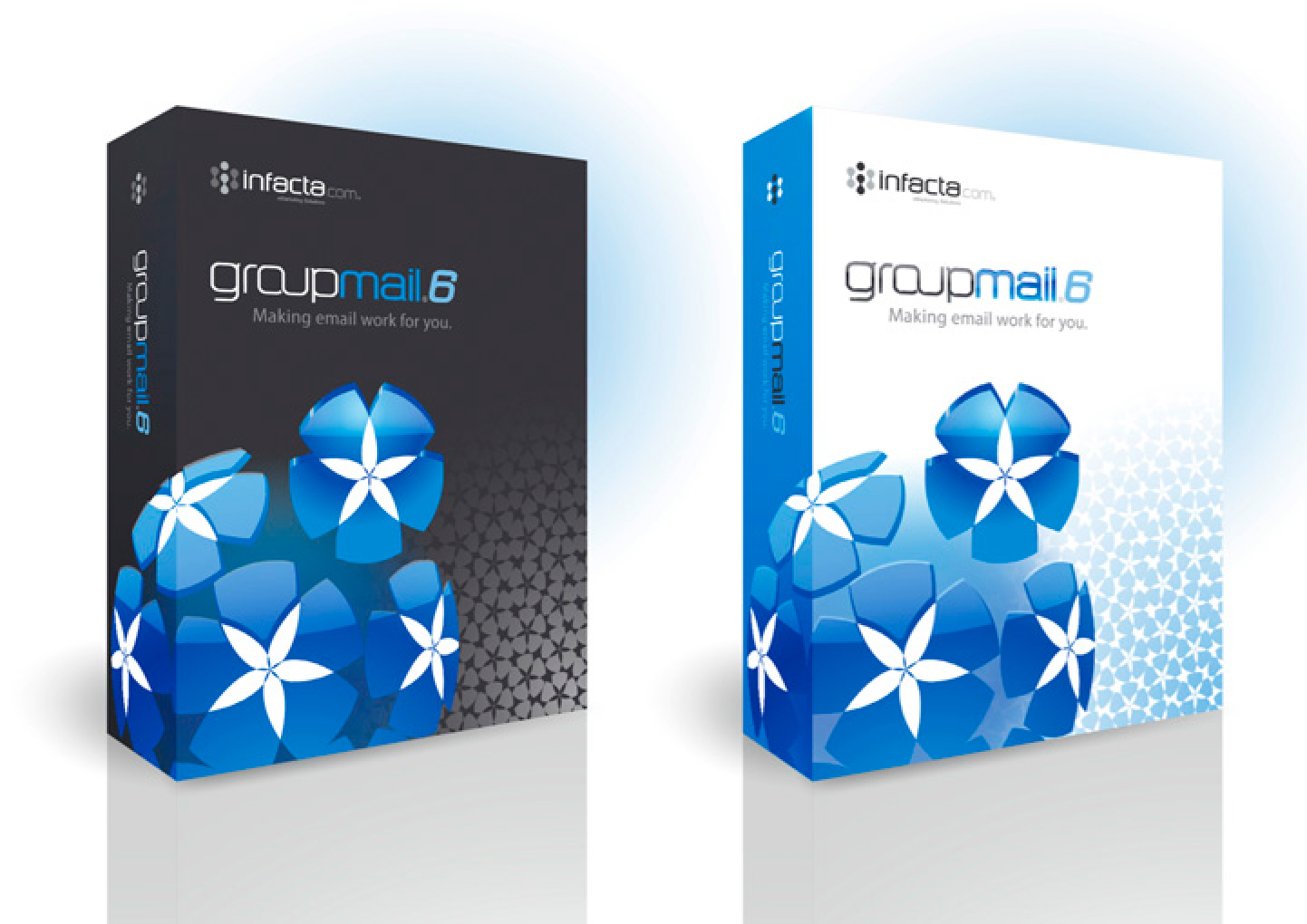 GroupMail Portfolio Detail 3