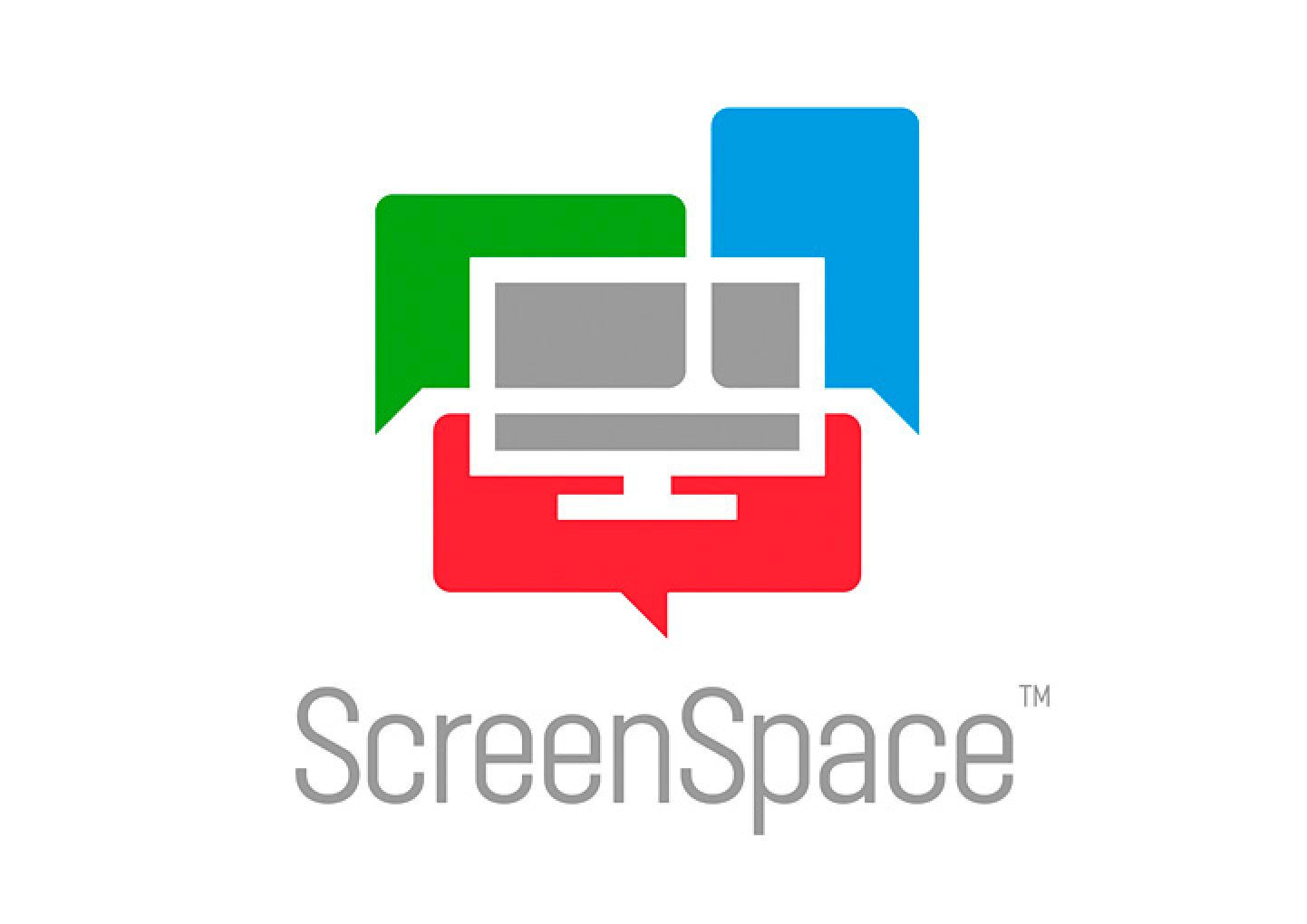 ScreenSpace Portfolio Detail 1